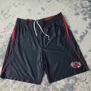 Nike Men's Black and Red Sports Shorts